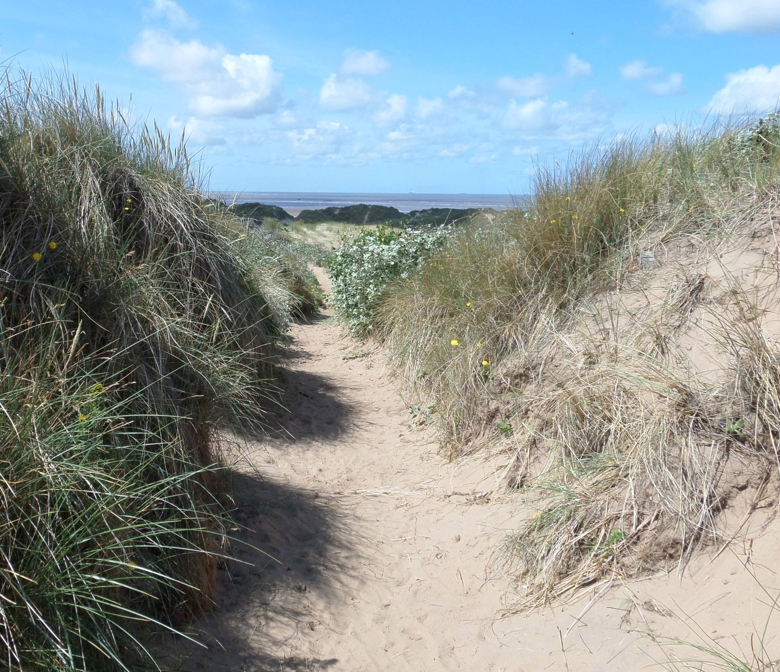 Formby dunes